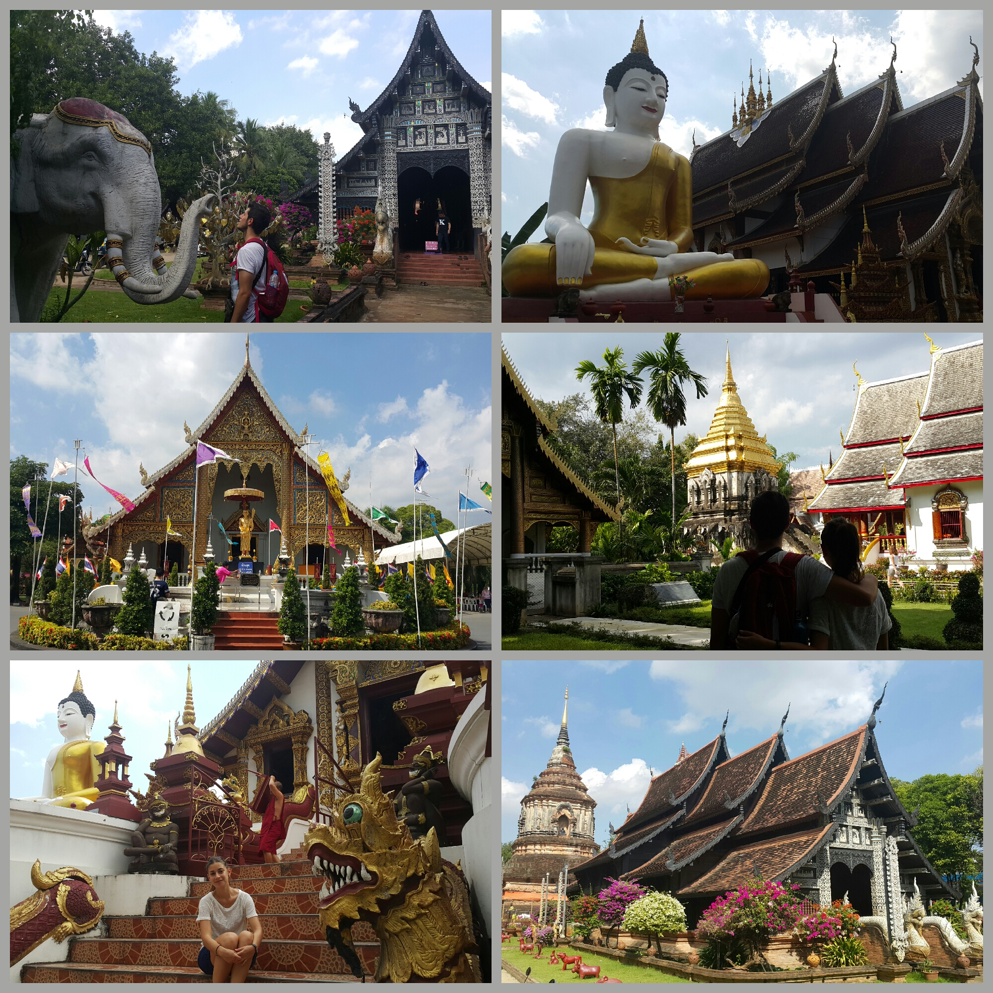 2015-11-25 16.08.06.jpg