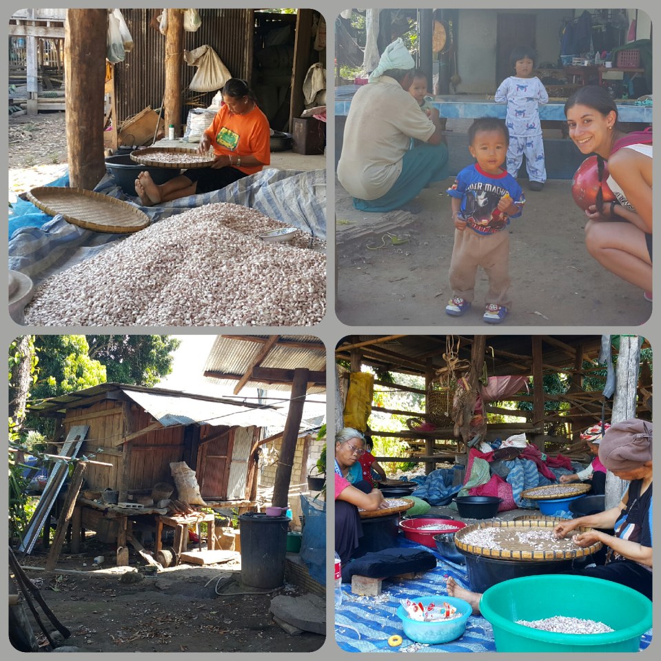 2015-12-04 13.07.05.jpg