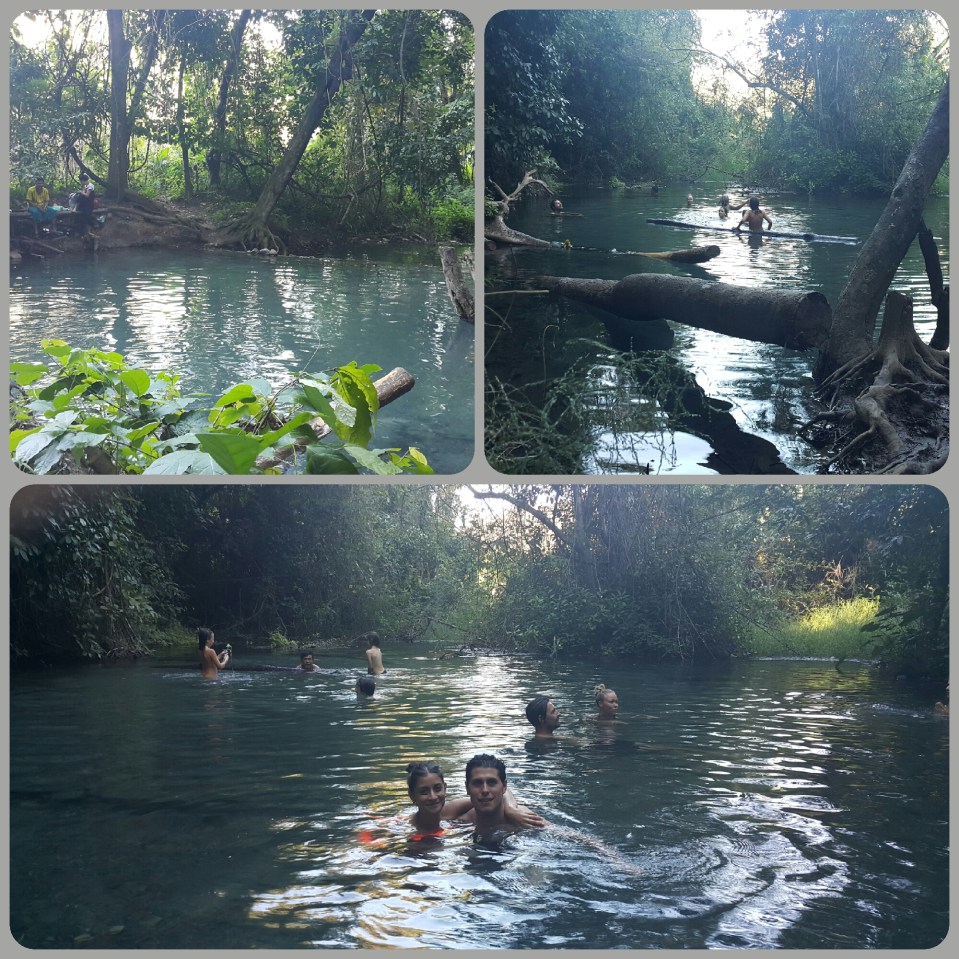 2015-12-04 13.51.36.jpg