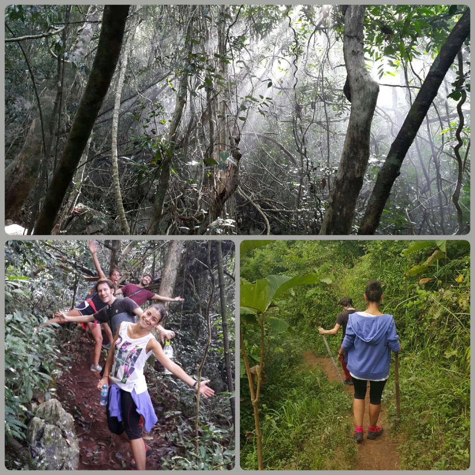 2015-12-22 20.13.37.jpg