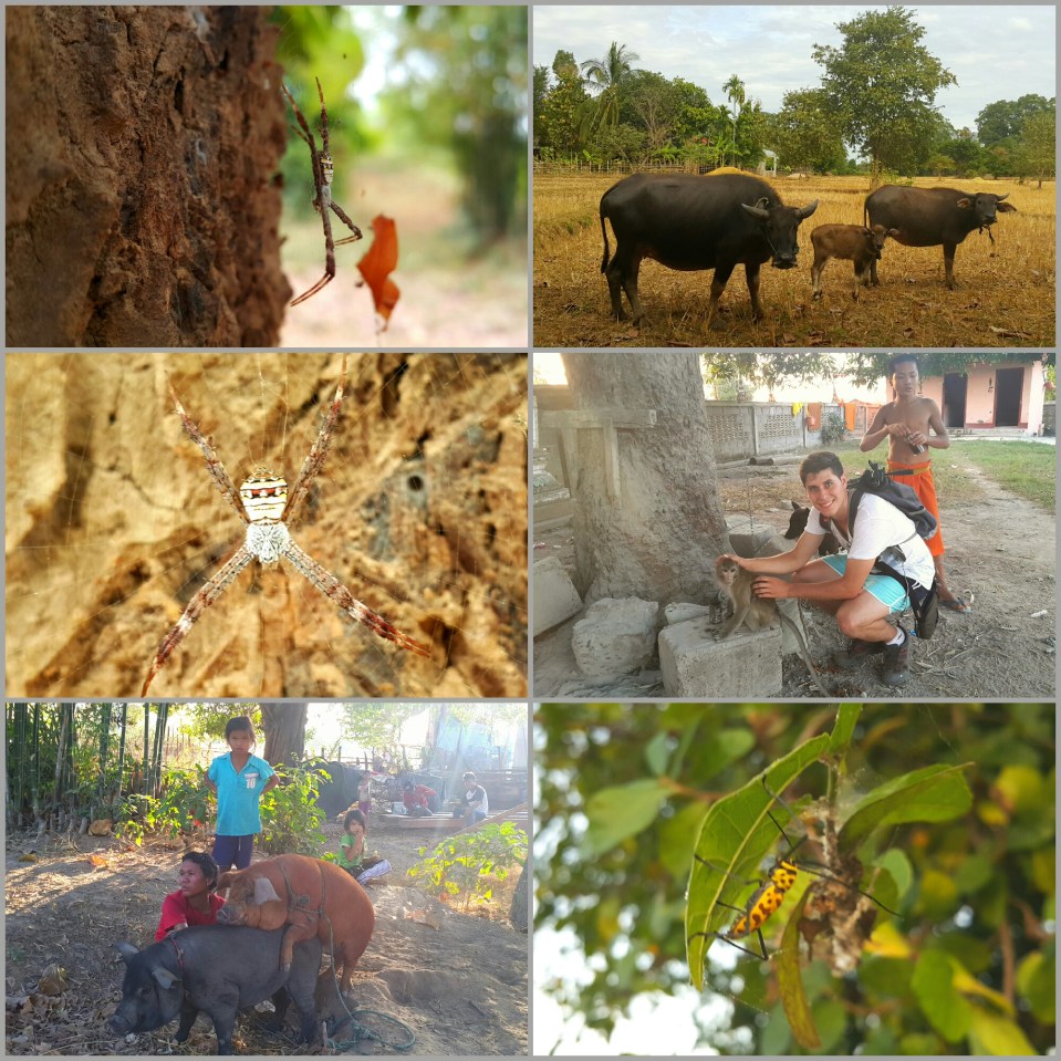 2016-01-12 11.30.15.jpg