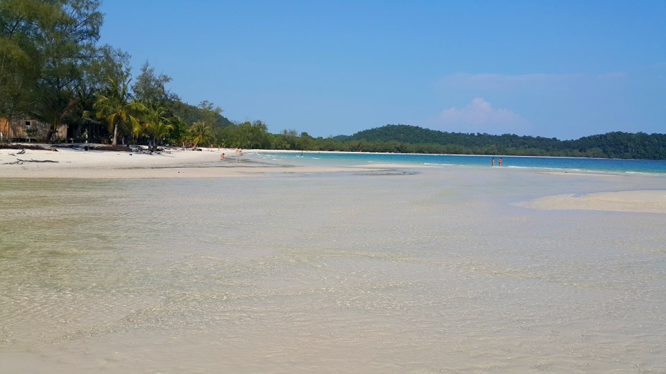 2016-01-06 21.35.56.jpg