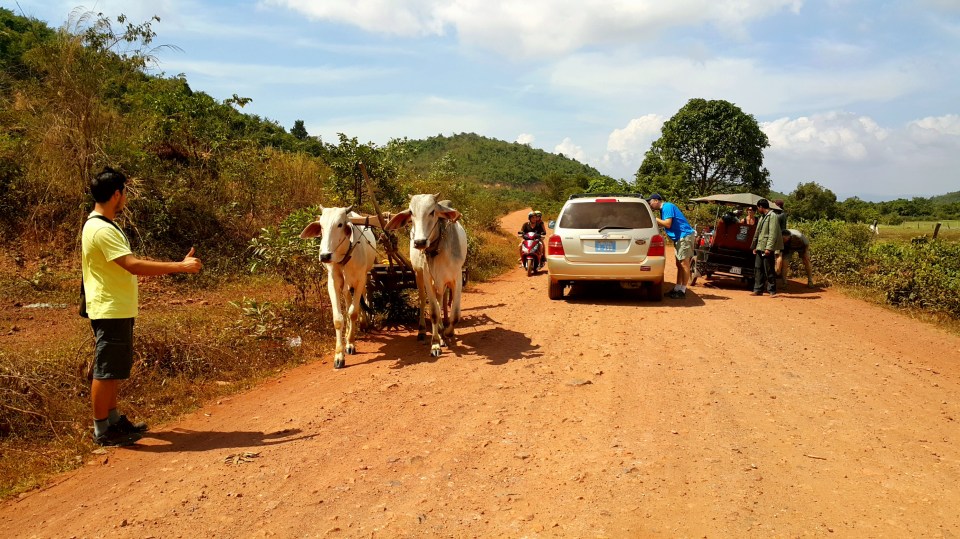 2016-01-21 08.32.22.jpg