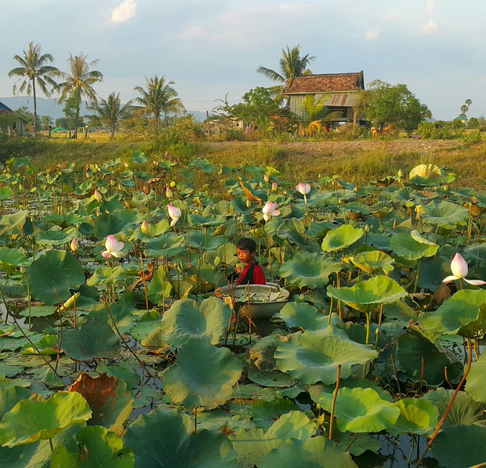 2016-03-13 23.41.00.jpg