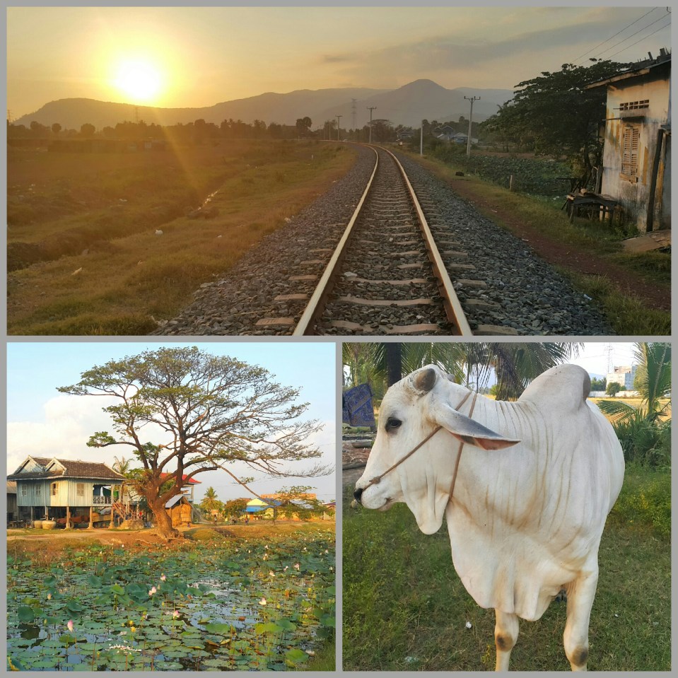 2016-03-14 17.36.12.jpg