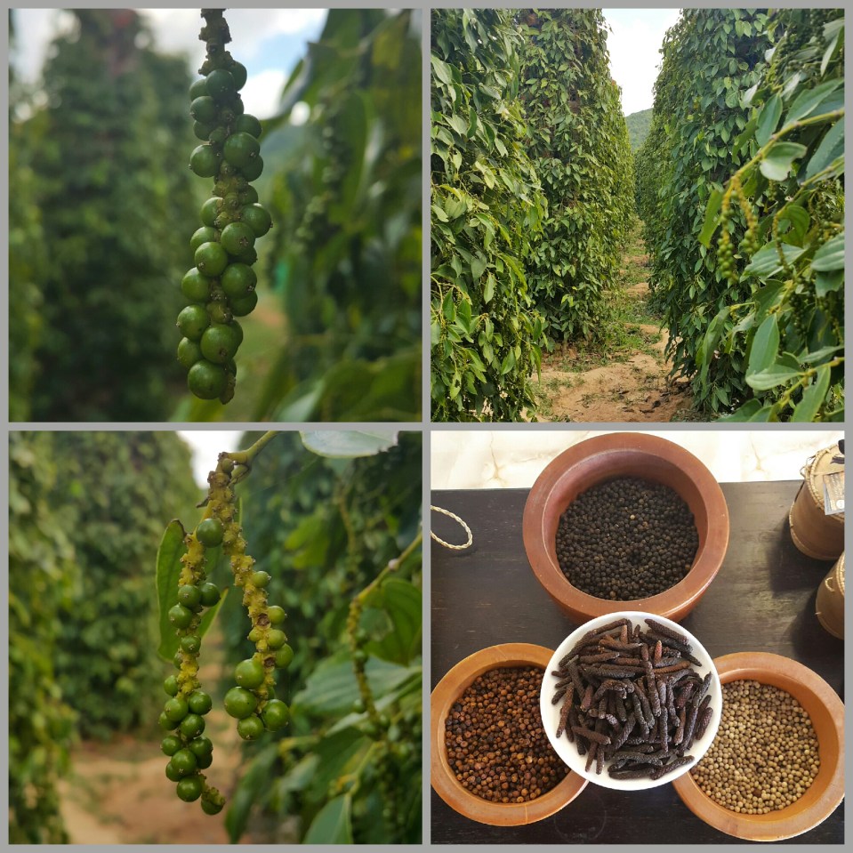 2016-03-14 19.16.28.jpg