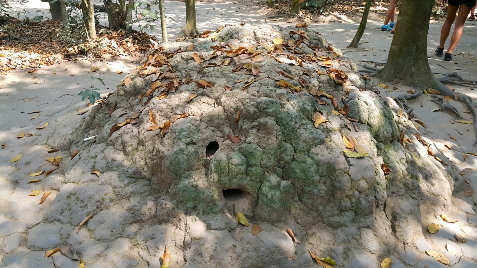 2016-03-24 18.28.22.jpg