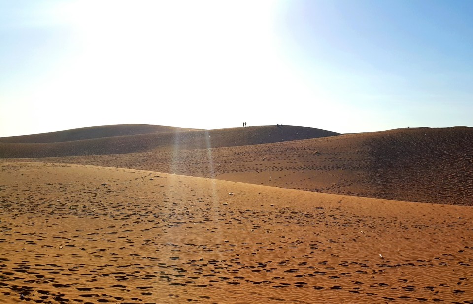 2016-04-03 17.03.40.jpg