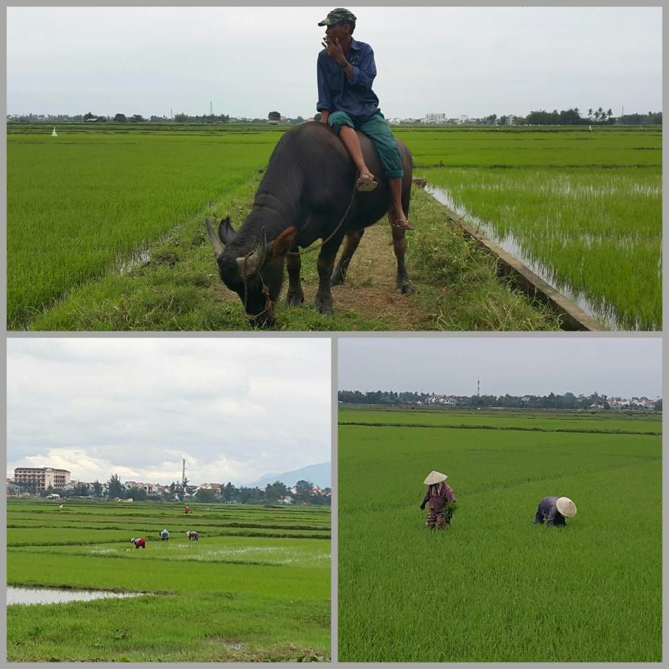 2016-04-15 22.07.10.jpg