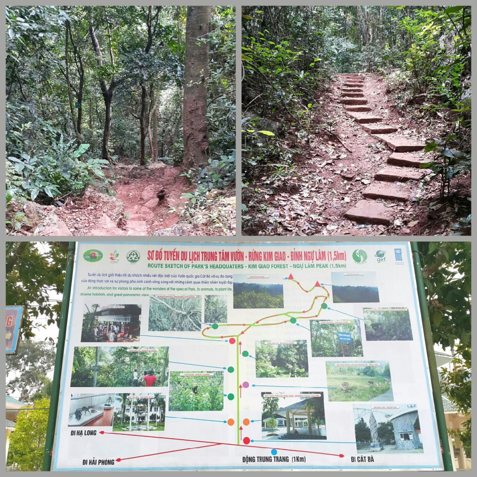 2016-06-28 23.43.10.jpg