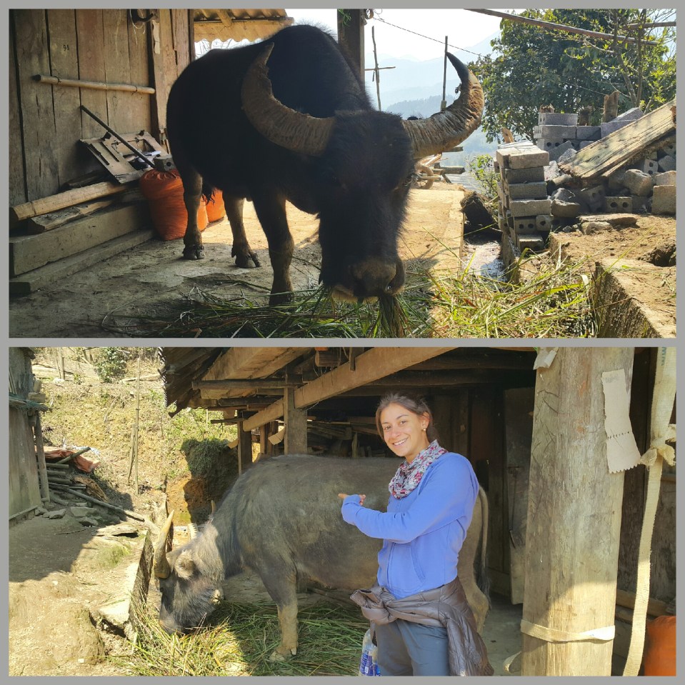 2016-07-17 16.05.17.jpg