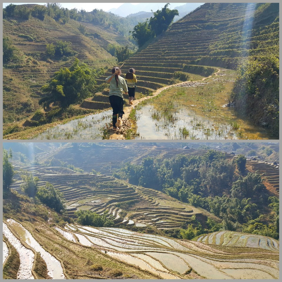 2016-07-17 16.12.10.jpg