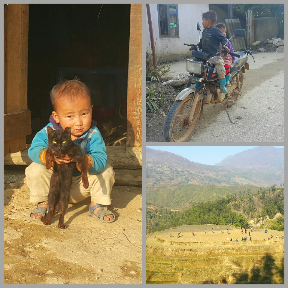 2016-07-17 16.16.57.jpg