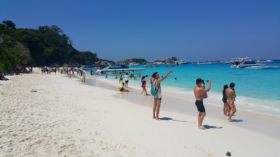 2016-09-10 16.48.05.jpg