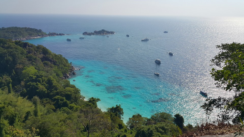 2016-09-12 11.17.51.jpg