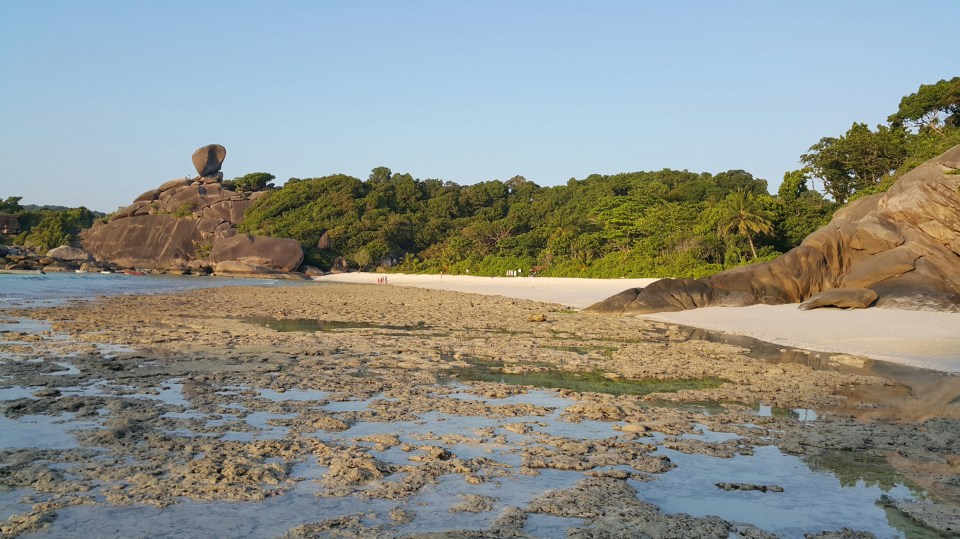 2016-09-12 11.29.50.jpg