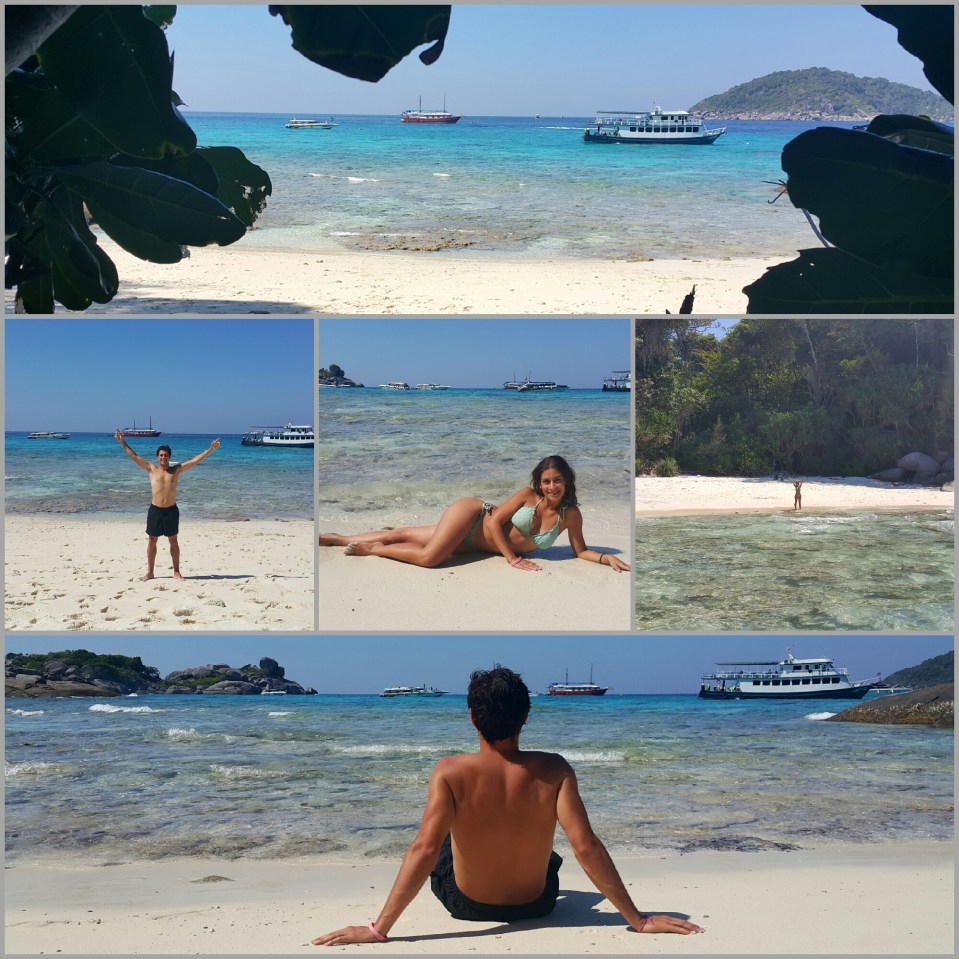 2016-09-12 12.38.13.jpg