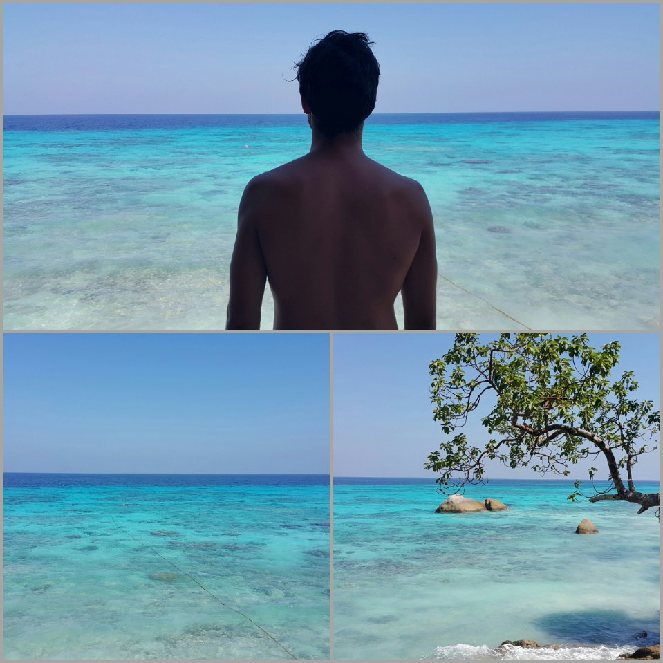 2016-09-12 19.54.17.jpg