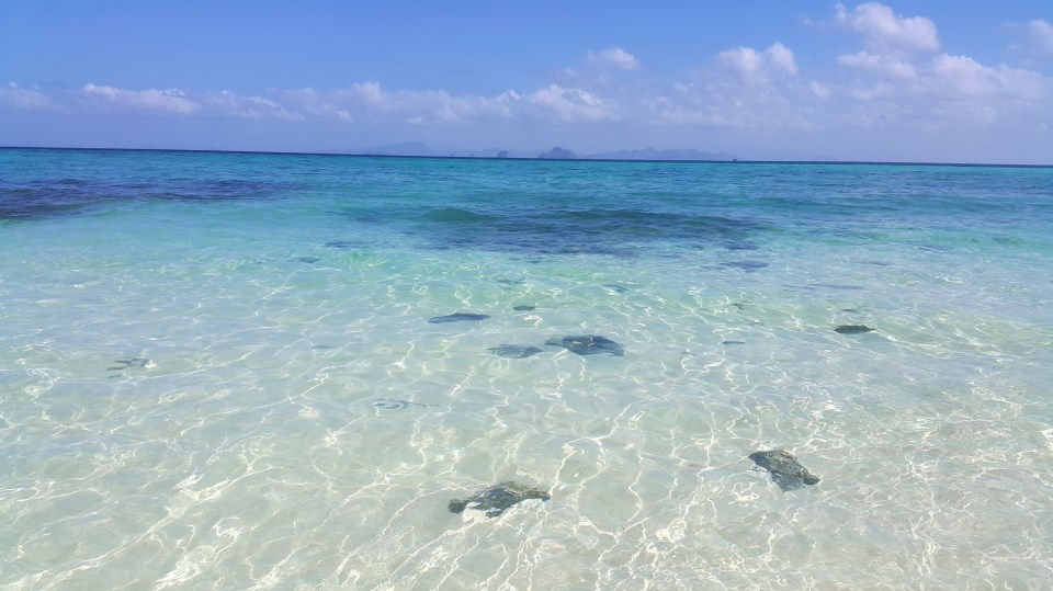 2016-10-01 19.47.55.jpg