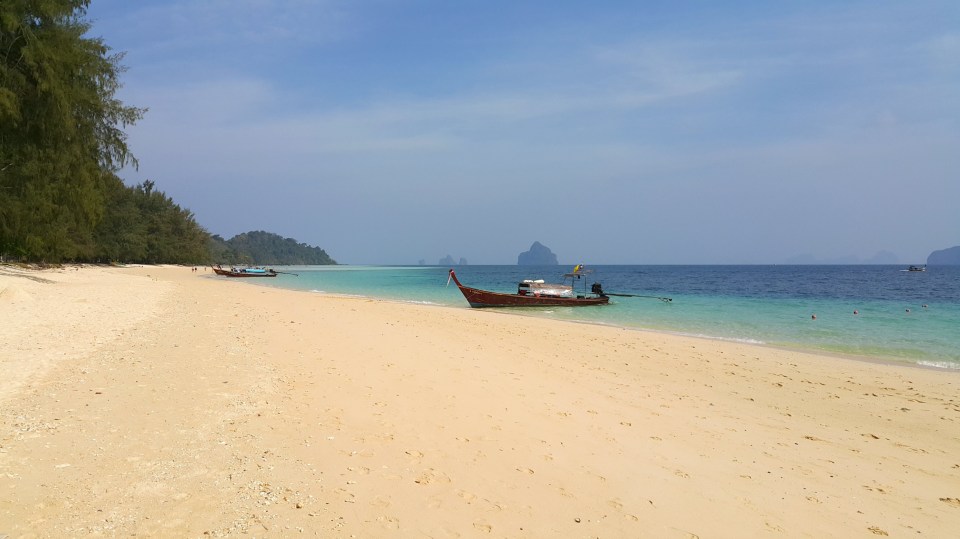 2016-10-30 19.30.27.jpg