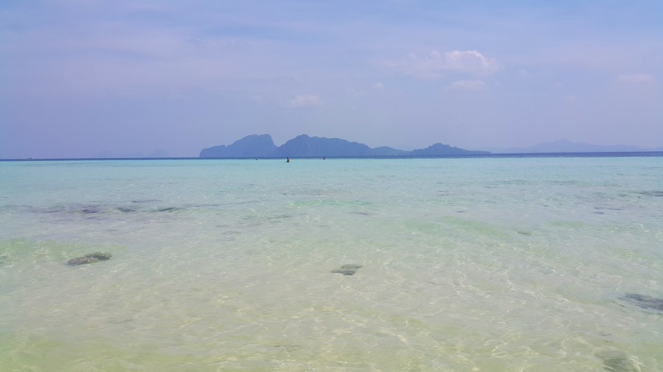 2016-10-30 19.35.14.jpg