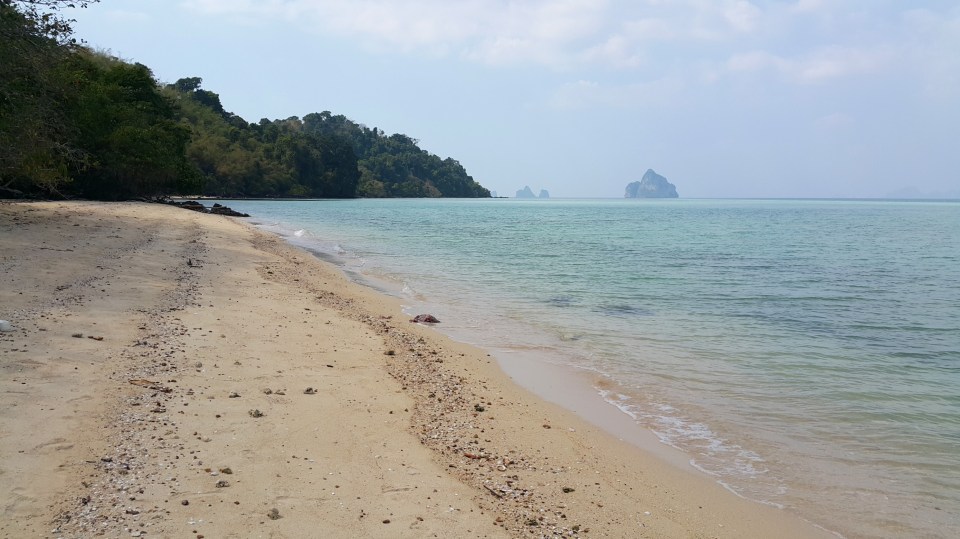 2016-10-30 19.52.57.jpg