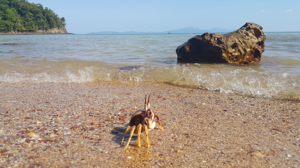 2016-11-06 17.41.48.jpg