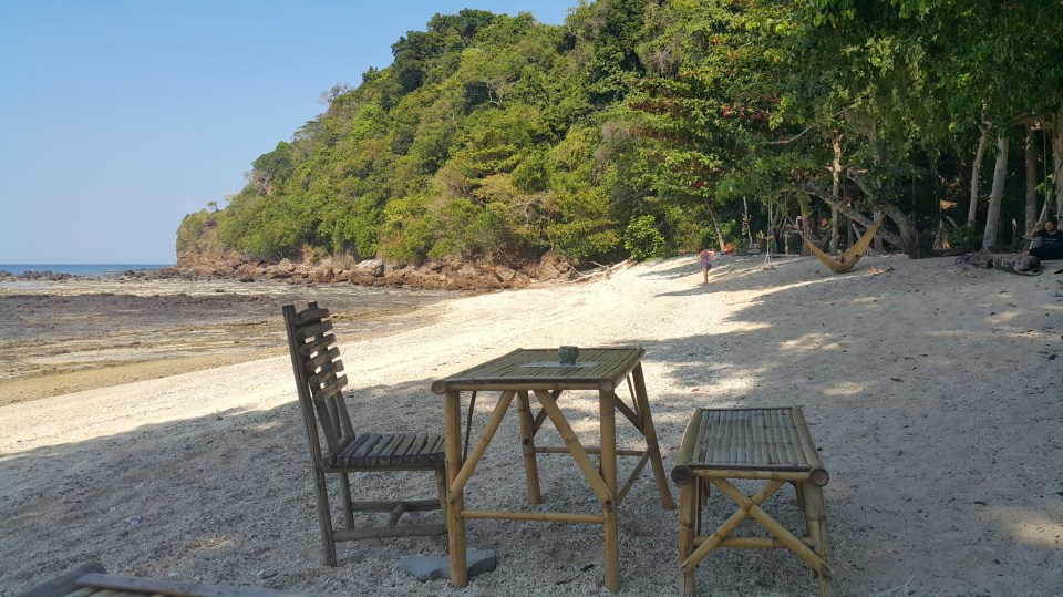 2016-11-06 17.48.48.jpg