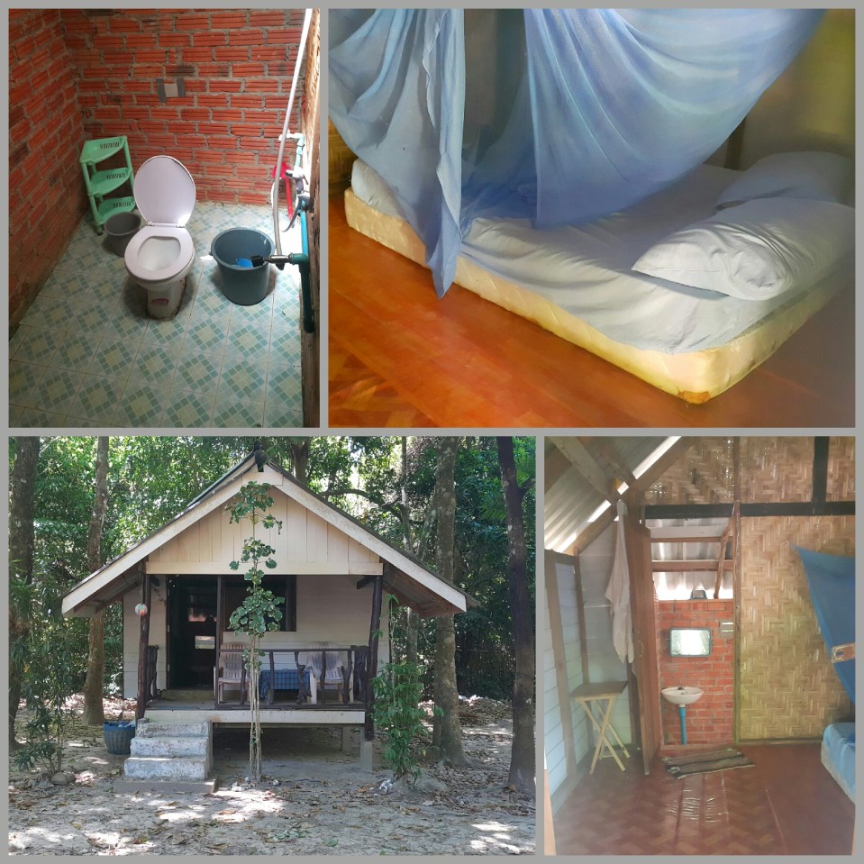 2016-11-06 22.01.16.jpg