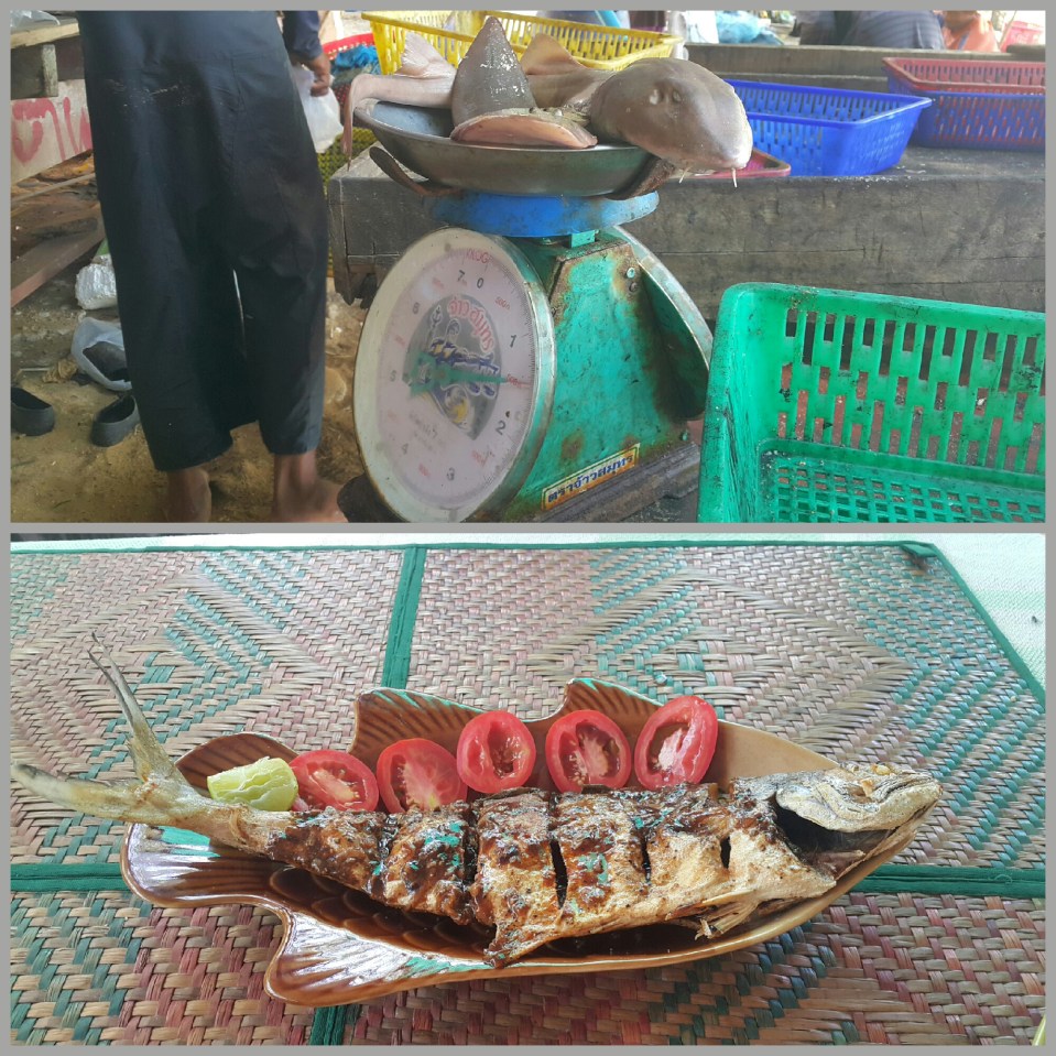 2016-11-06 22.05.51.jpg