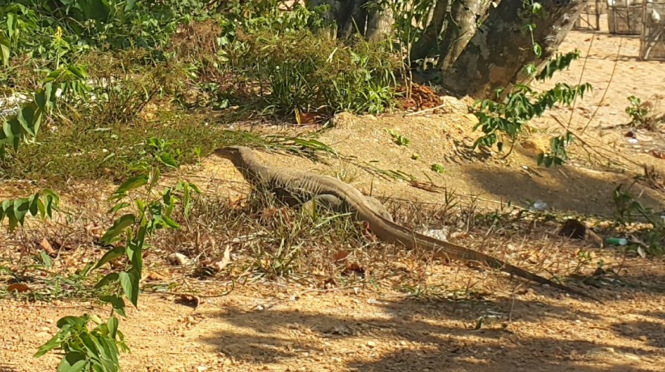 2016-11-06 22.07.24.jpg