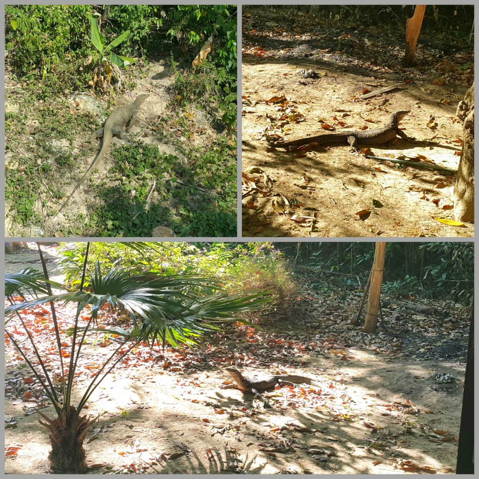 2016-11-06 22.11.10.jpg