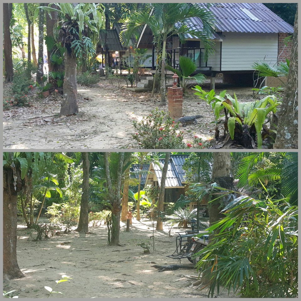 2016-11-06 22.12.43.jpg