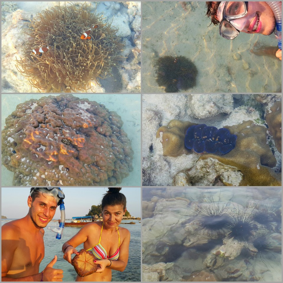 2016-11-22 11.47.19.jpg