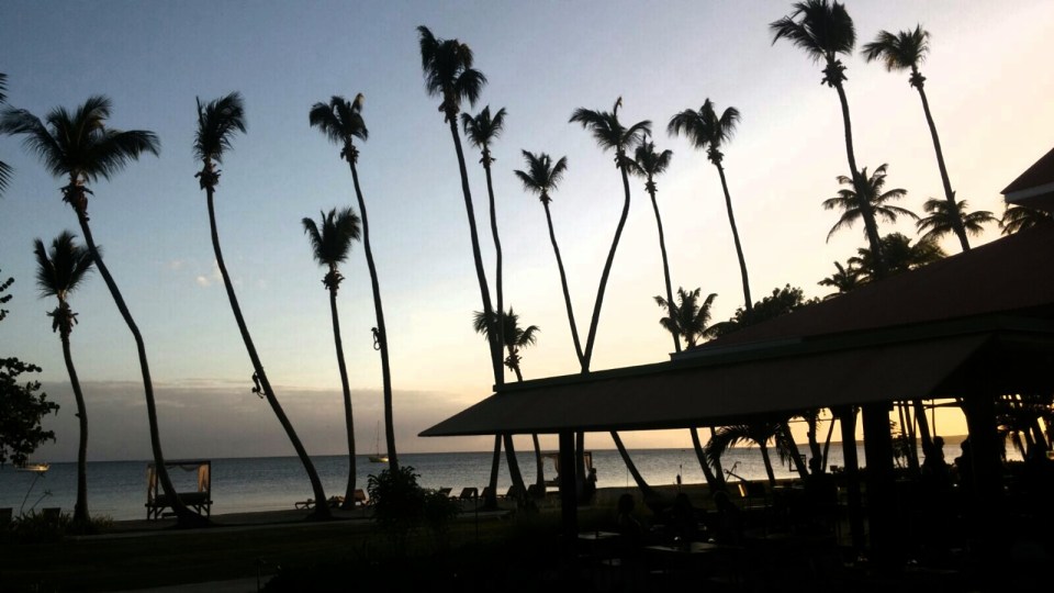 2016-11-22 11.50.40.jpg