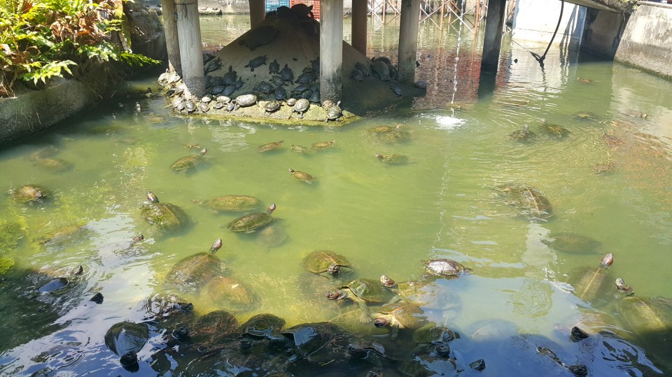 2017-01-01 15.24.28.jpg