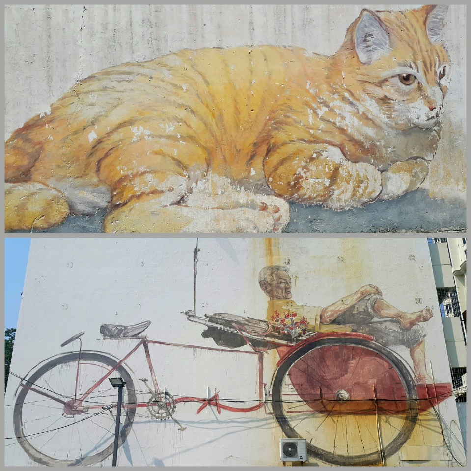 2017-01-06 07.38.18.jpg