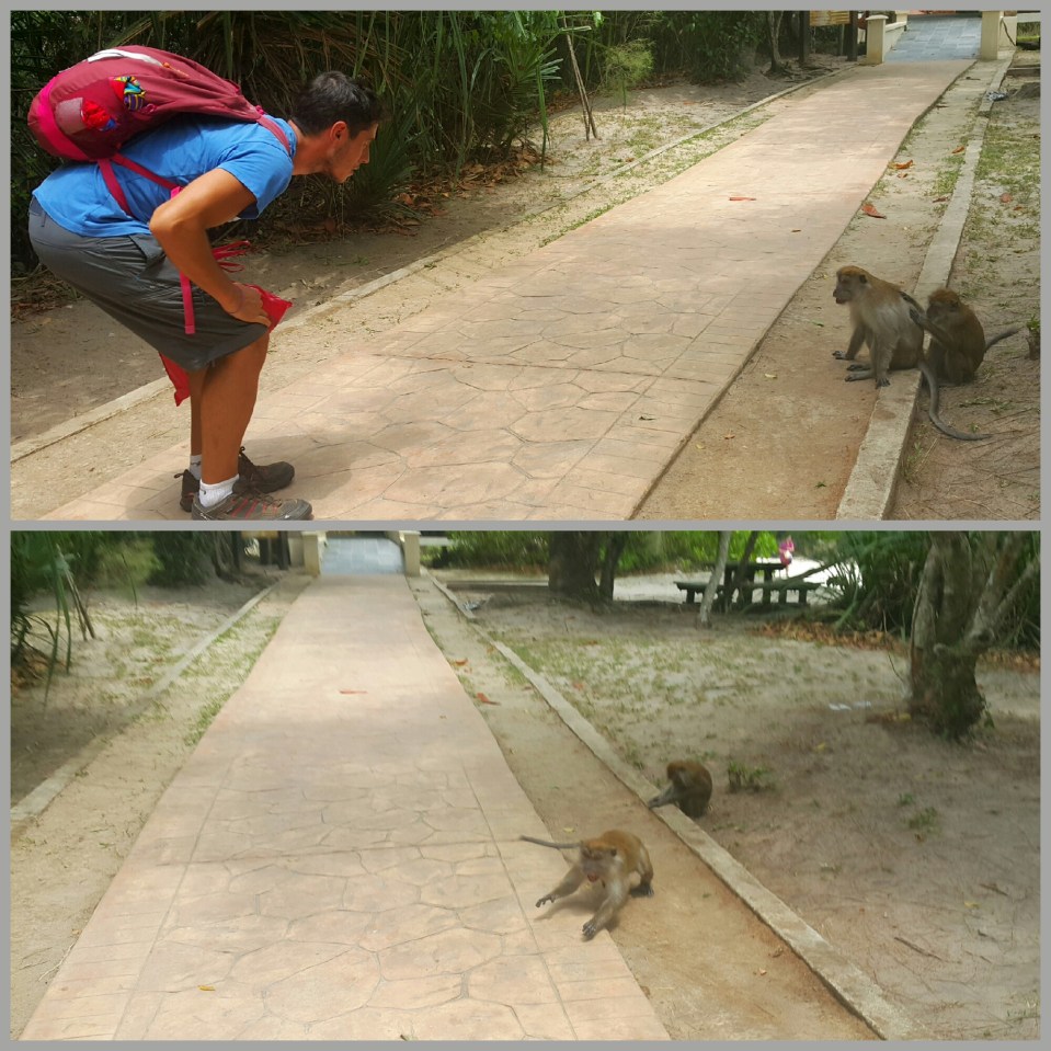 2017-01-06 17.13.57.jpg