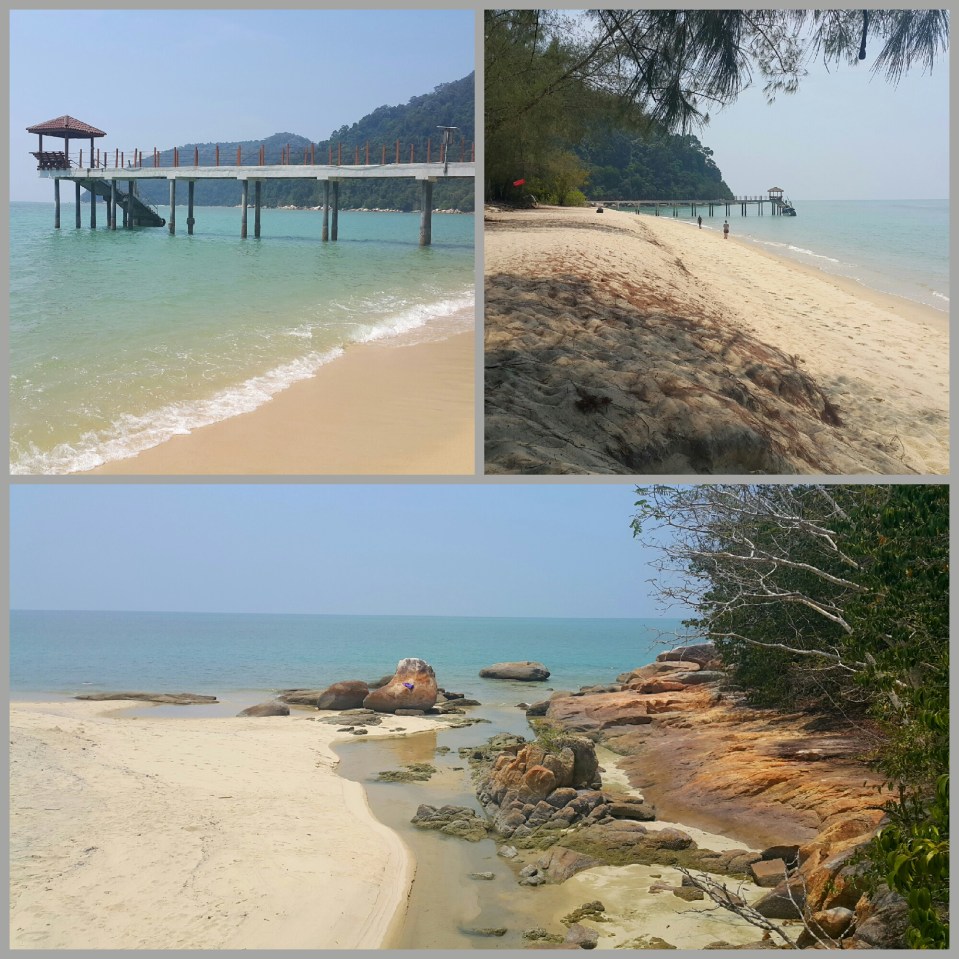 2017-01-06 17.16.09.jpg