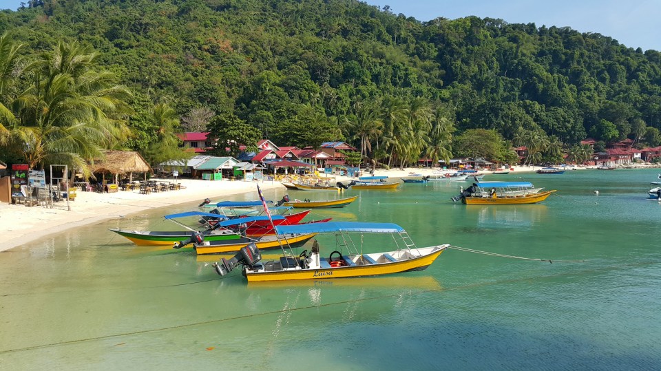 2017-01-30 13.22.16.jpg