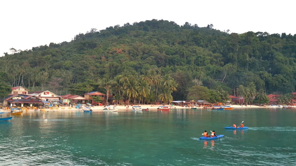 2017-01-30 13.36.26.jpg