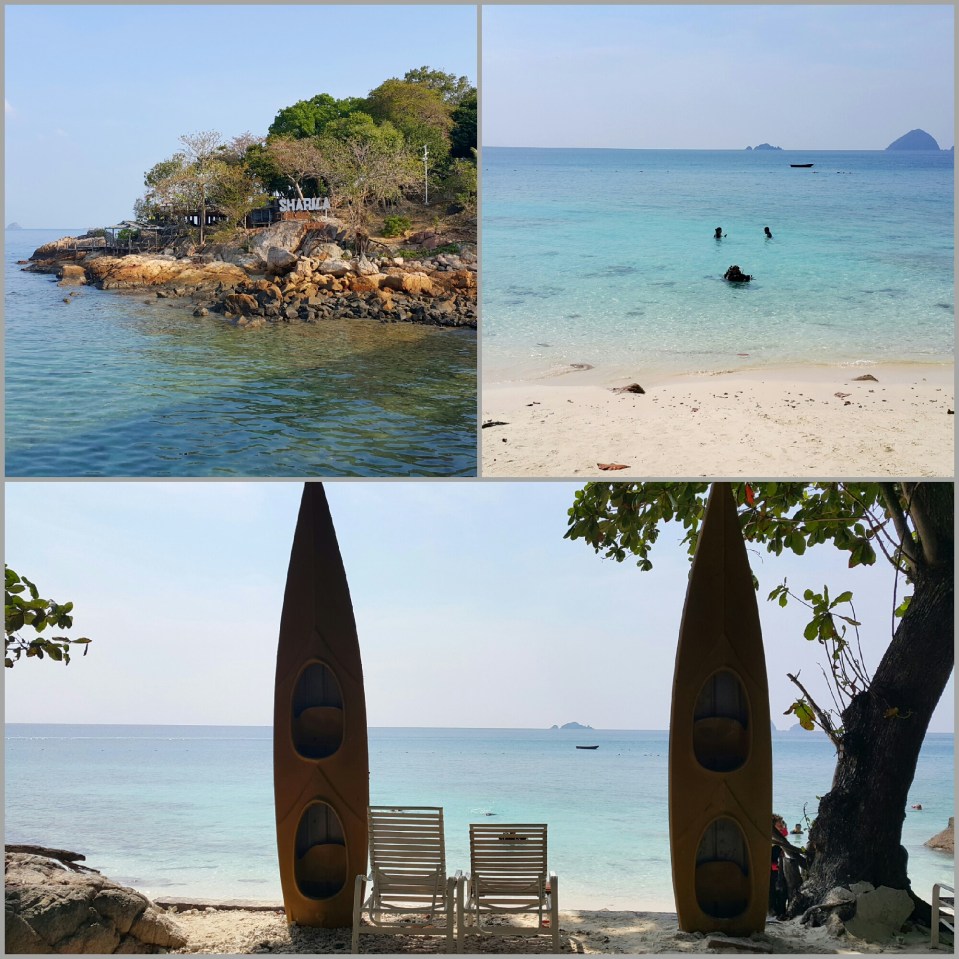 2017-02-05 15.04.13.jpg