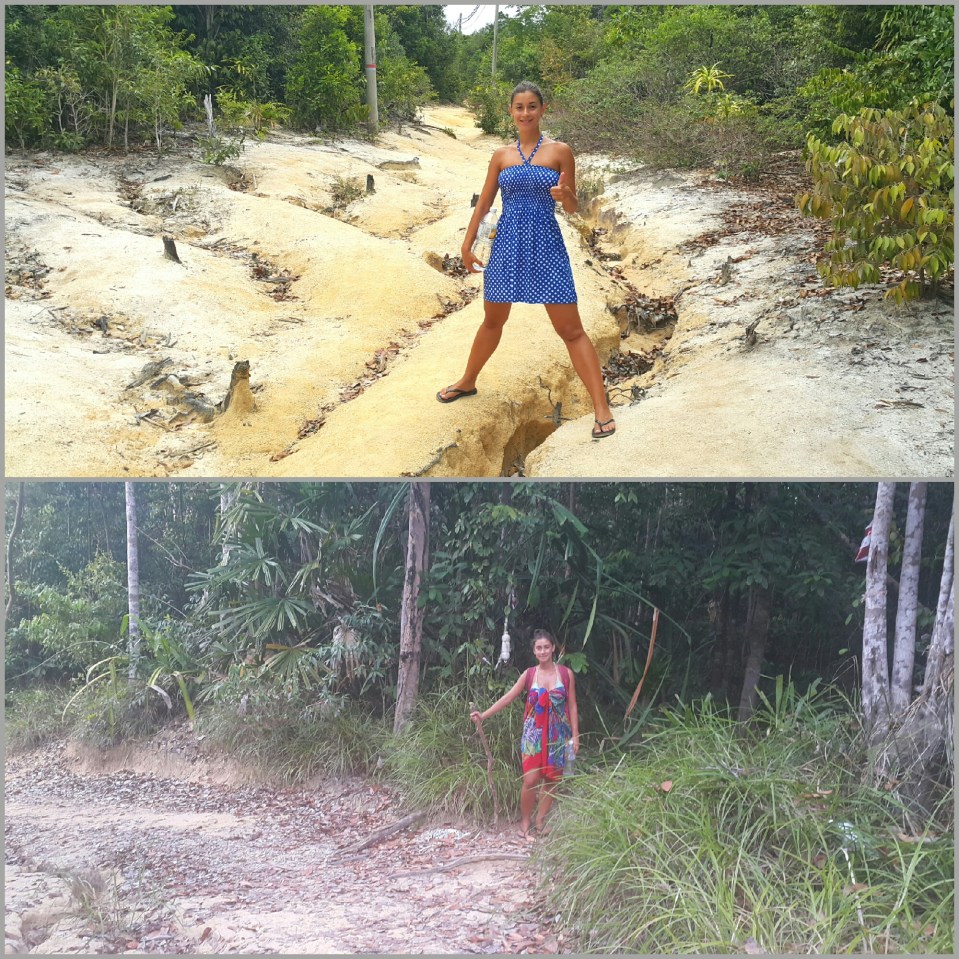 2017-02-05 15.11.22.jpg