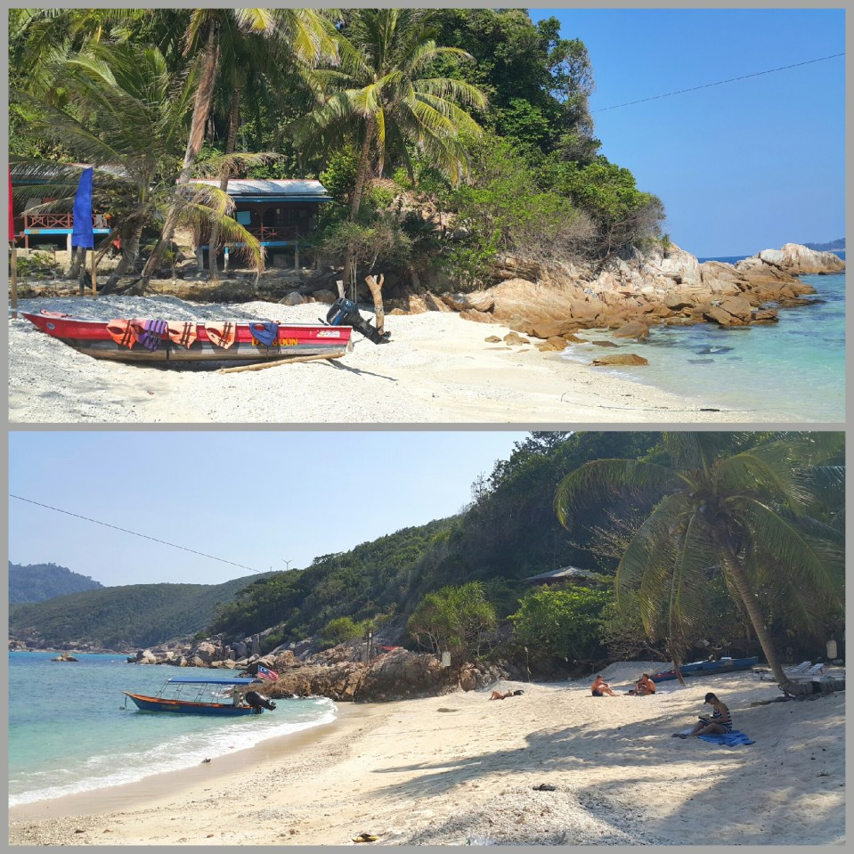 2017-02-05 15.14.17.jpg