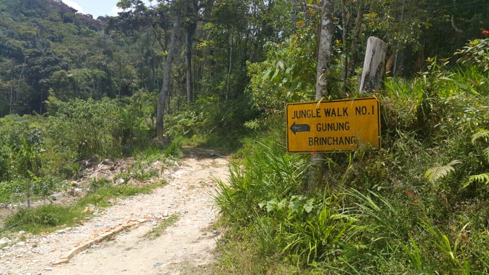 2017-05-16 09.30.04.jpg