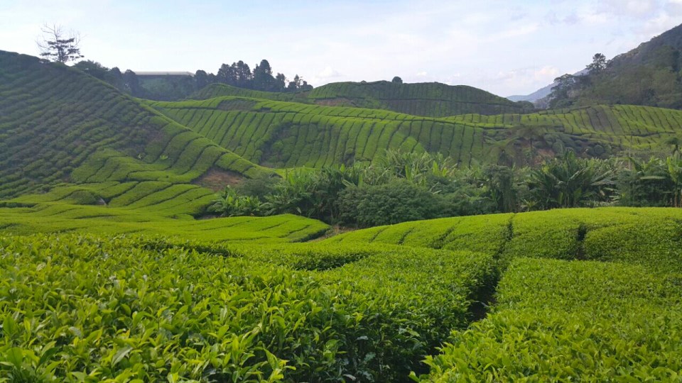 2017-05-16 09.50.51.jpg