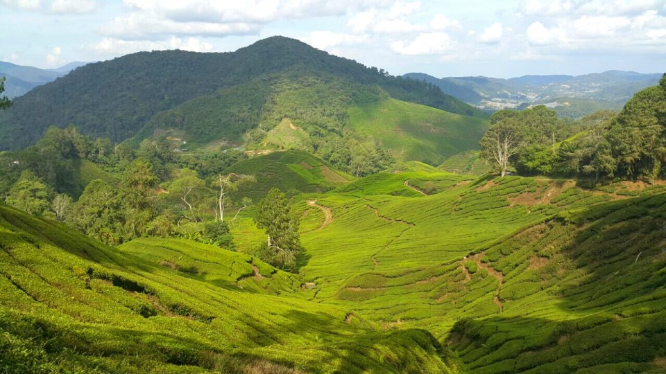 2017-05-16 09.51.46.jpg