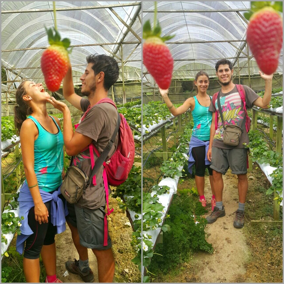 2017-05-16 10.20.25.jpg