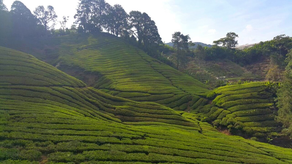 2017-05-16 21.21.34.jpg