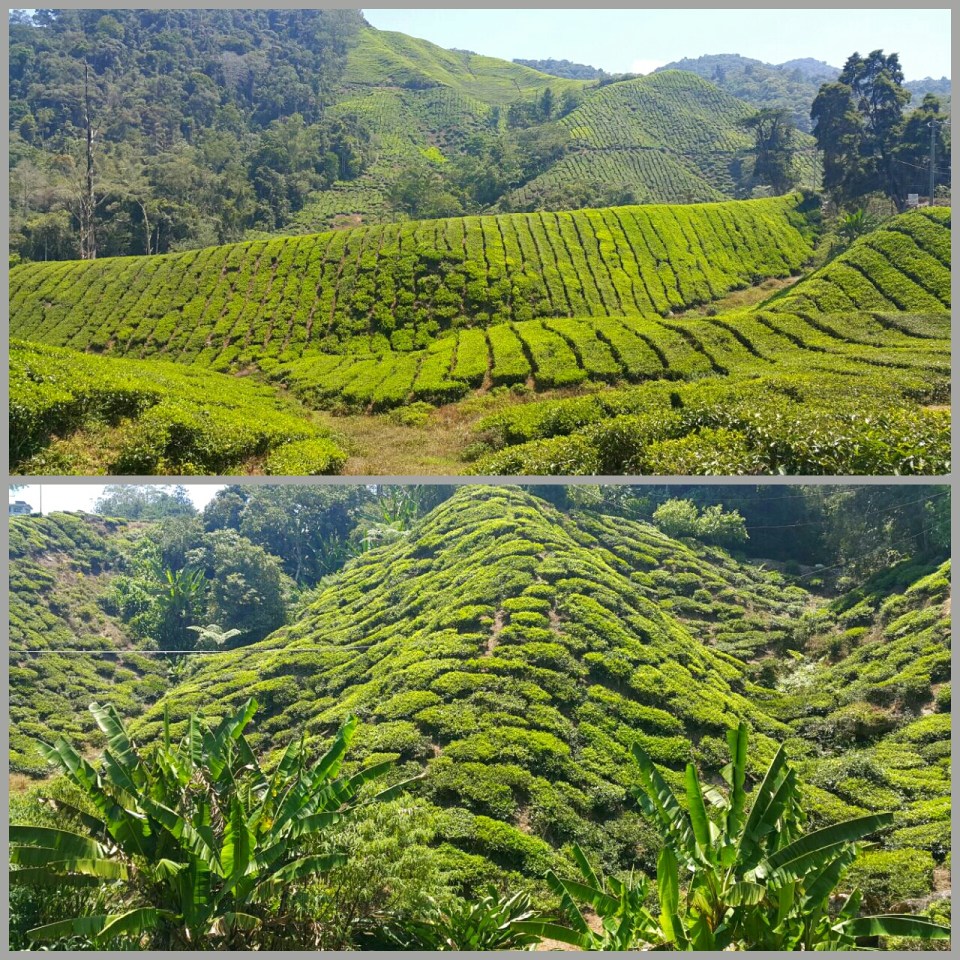 2017-05-16 21.26.32.jpg